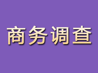 禹城商务调查